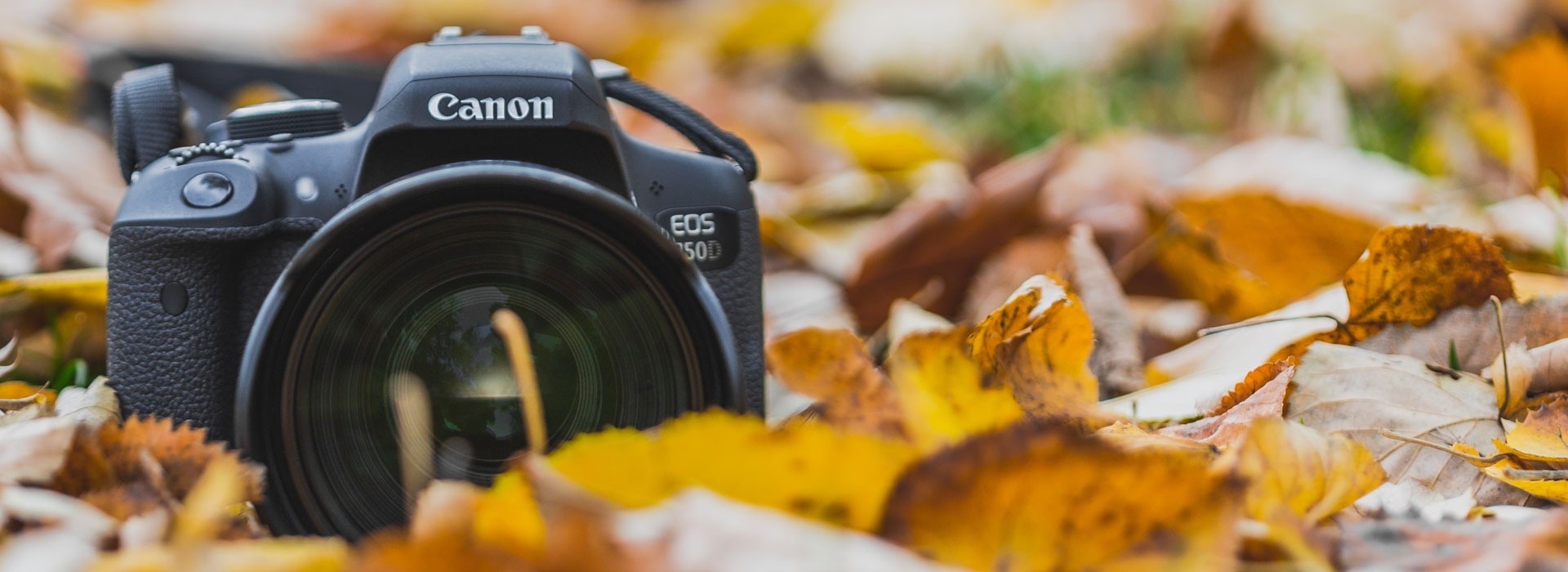 Pillanatok, melyek örökre megmaradnak